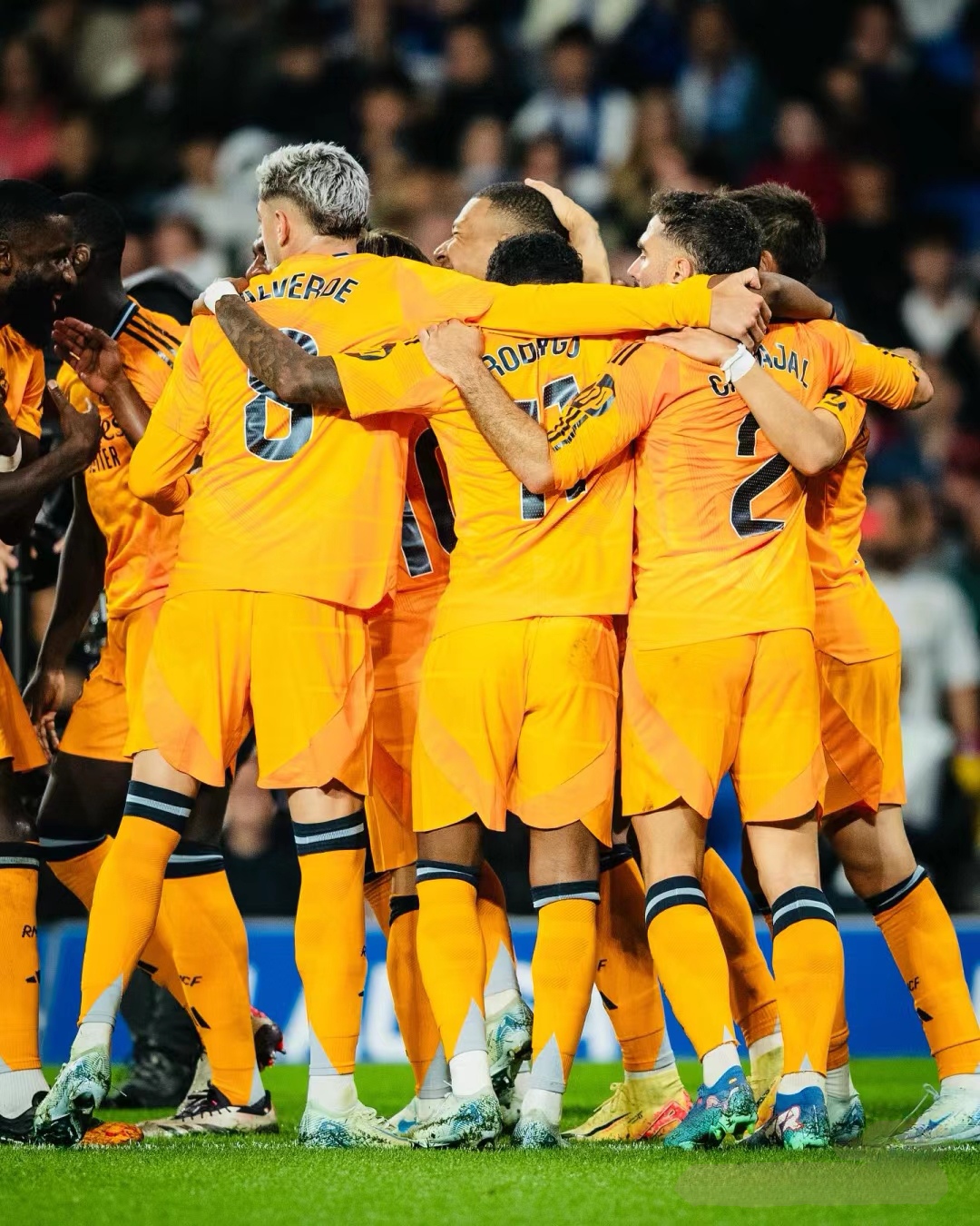 本泽马为什么进不了法国队