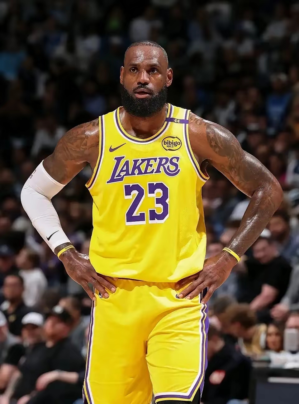 关于葡超倒计时，洛杉矶湖人窗口期绝杀压哨，细节引发关注，震撼外界，临场指挥获称赞的信息