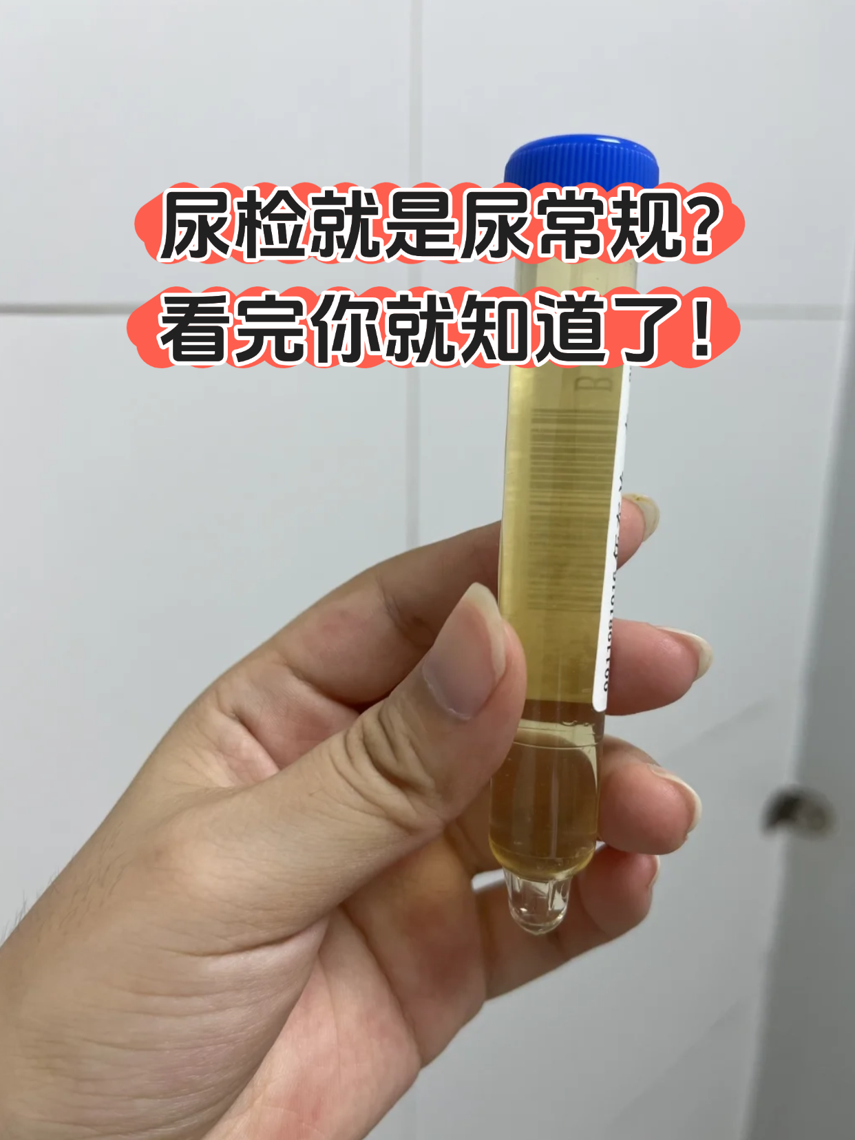 关于ML便?@;的信息